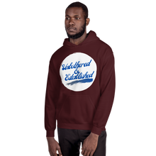 Load image into Gallery viewer, UNBOTHERED & ESTABLISHIED Unisex Graphic Hoodie