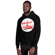 Load image into Gallery viewer, UNBOTHERED &amp; ESTABLISHED Unisex Graphic Hoodie
