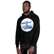 Load image into Gallery viewer, UNBOTHERED &amp; ESTABLISHIED Unisex Graphic Hoodie
