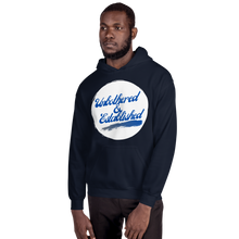 Load image into Gallery viewer, UNBOTHERED &amp; ESTABLISHIED Unisex Graphic Hoodie
