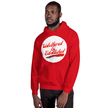 Load image into Gallery viewer, UNBOTHERED &amp; ESTABLISHED Unisex Graphic Hoodie
